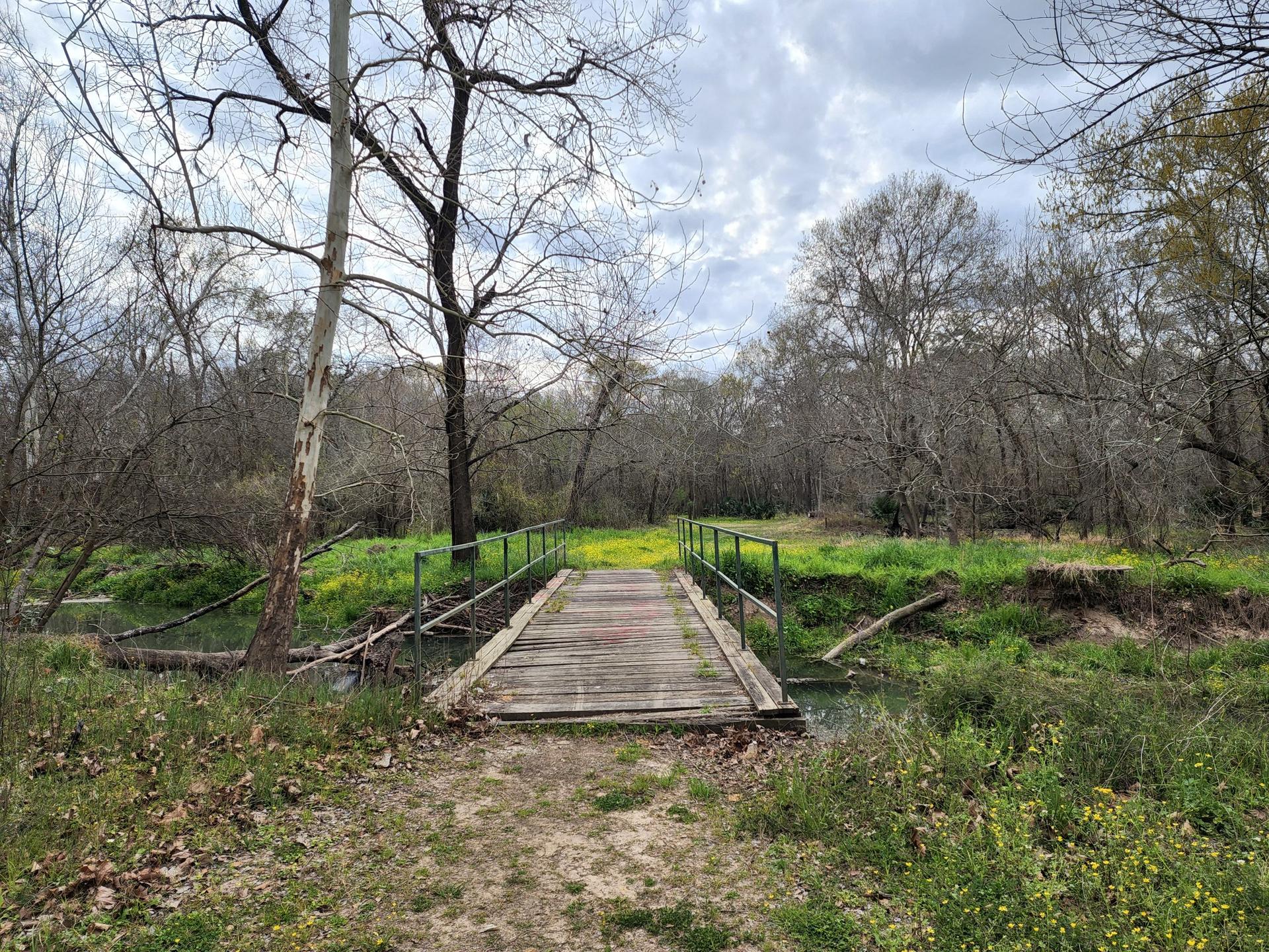 Wooden bridge over a small stream in a forest with bare trees.