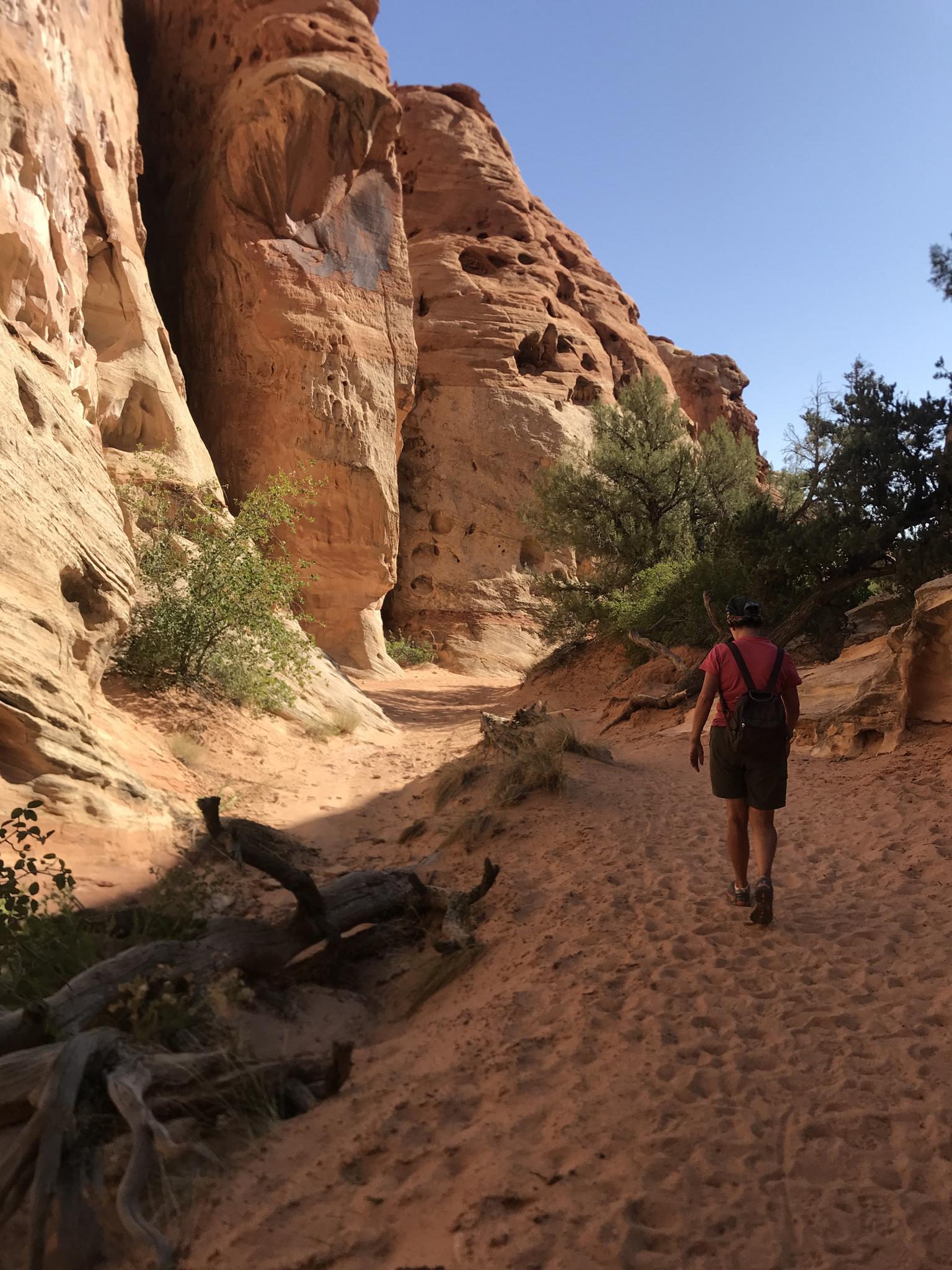A person hikes along a sandy path through a narrow red rock canyon.