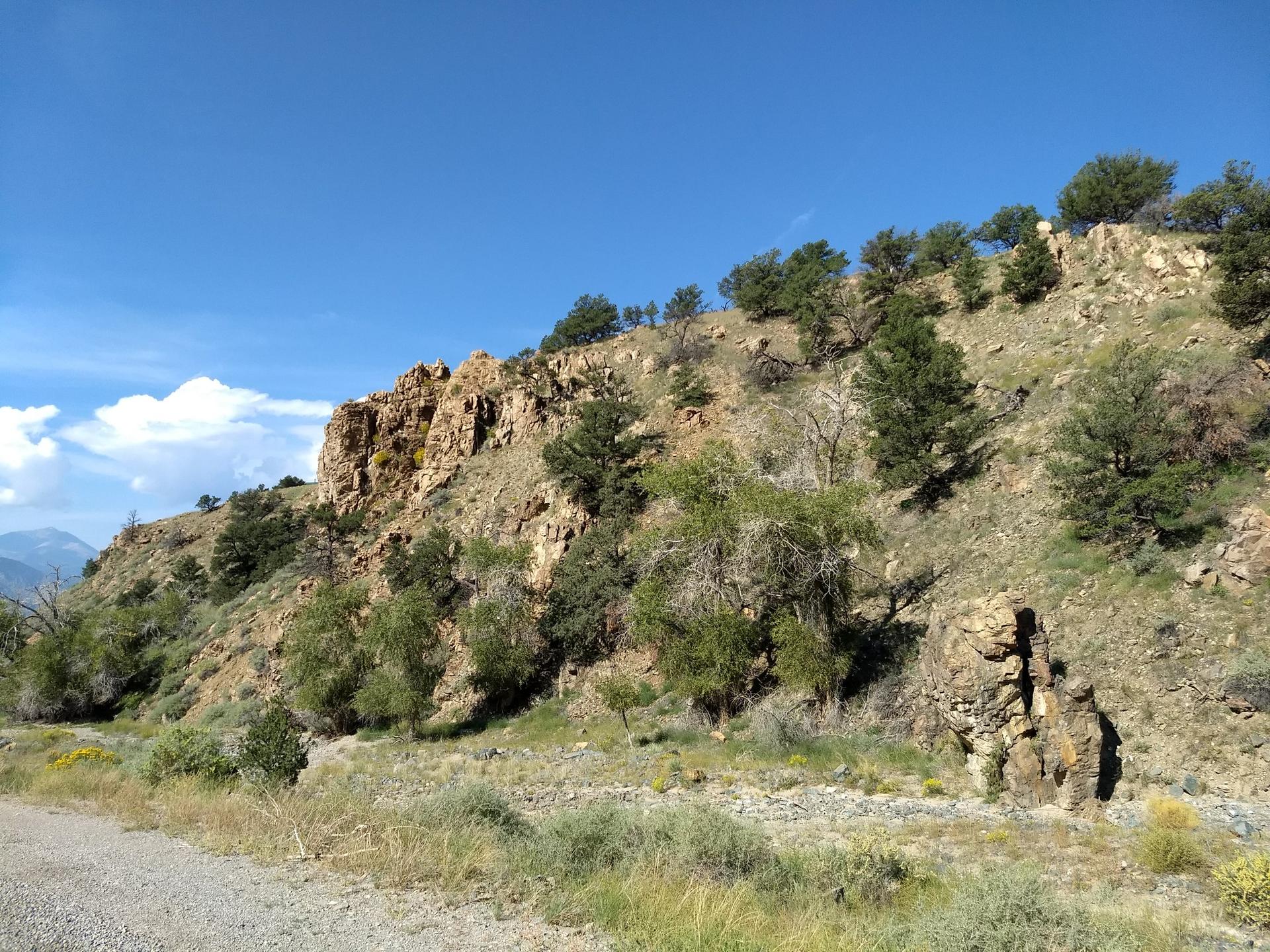 A steep, rocky hillside covered with sparse green trees under a bright blue sky.