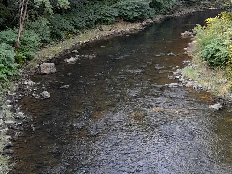 Wettinhain Burgstädt - Cycle Routes and Map | Komoot