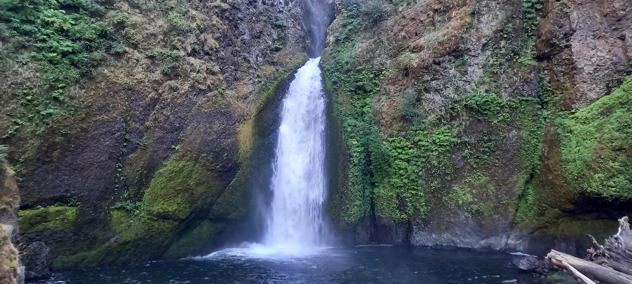 Tall waterfall cascading into a dark pool, surrounded by mossy cliffs.