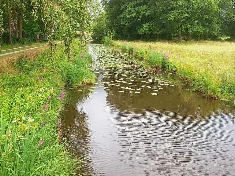 Stillgelegte Bahnstrecke Delmenhorst Lemwerder Wanderungen und