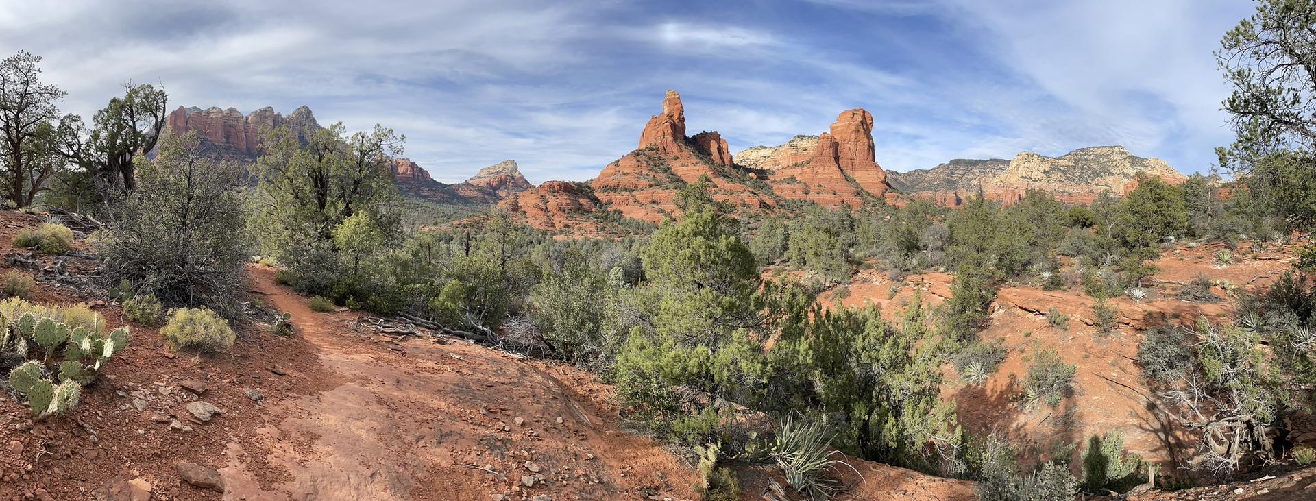 Panoramic view of red rock formations, desert plants, and a dirt path.