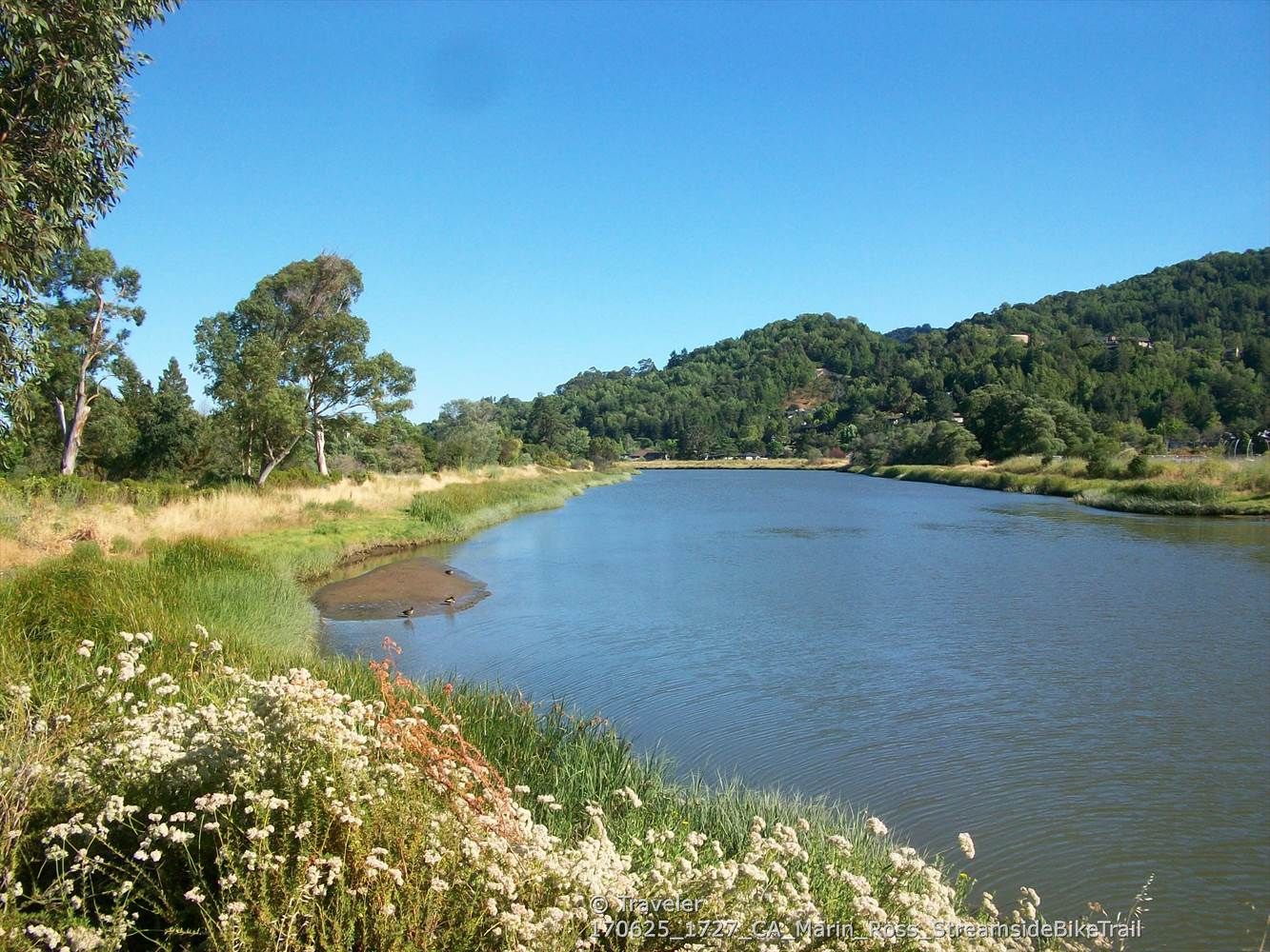 Calm river flowing past grassy banks and tree-covered hills on a clear day. - South Stinson Beach Overlook via Panoramic Highway