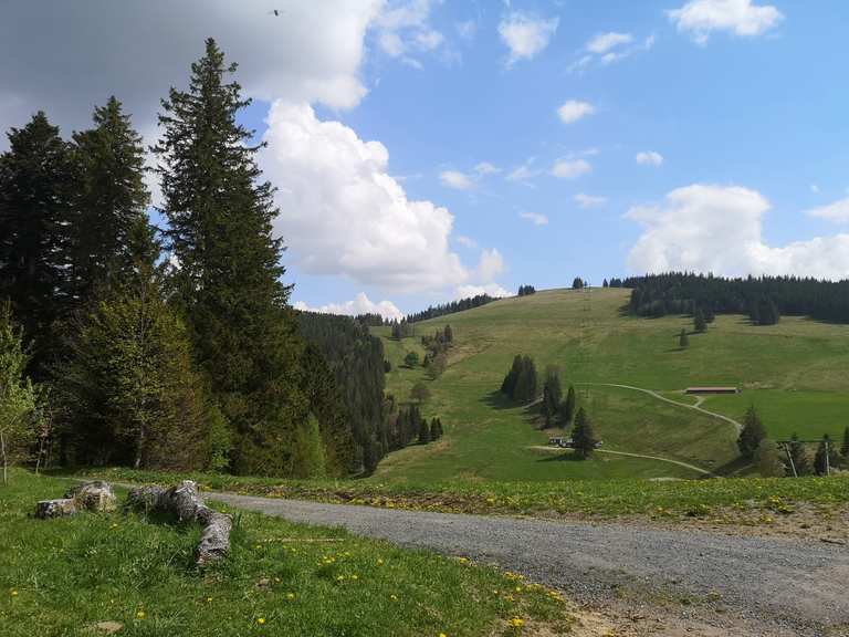 Blick zum Stollenbach: Mountainbike-Touren und -Trails | komoot