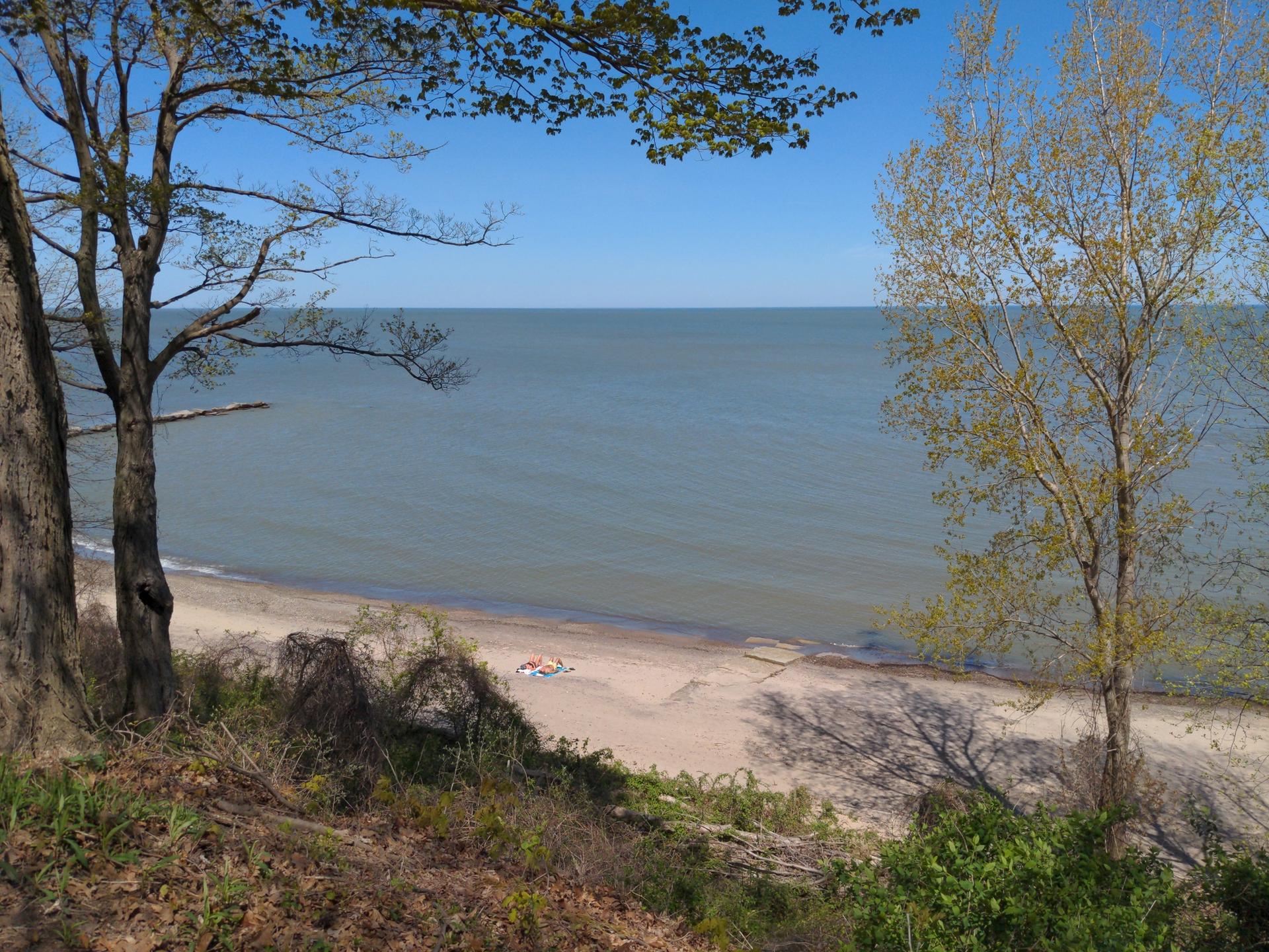 Sunny view of a sandy beach and calm water with two people, framed by trees.