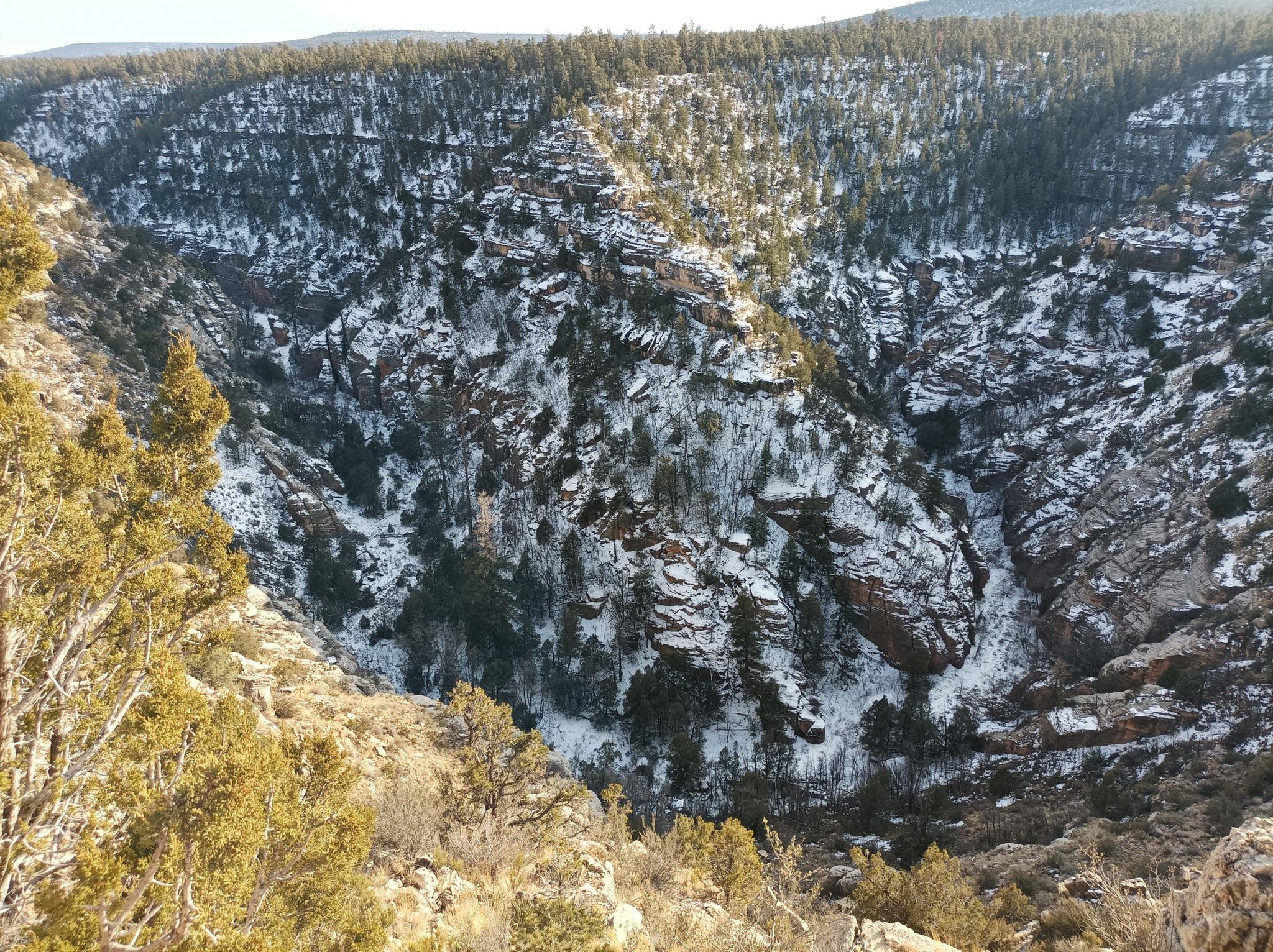 A snow-dusted canyon with rocky walls and evergreen trees on a clear day.