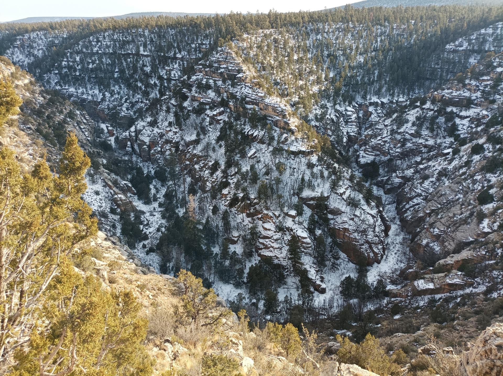 A snow-dusted canyon with rocky walls and evergreen trees on a clear day.