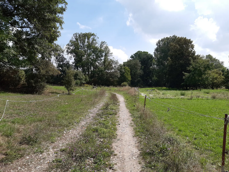 "Blaue Flut" Knau Wanderungen und Rundwege komoot