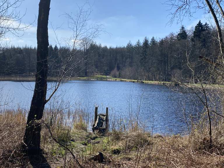 An den Teichen Itinéraires de rando et marche Komoot