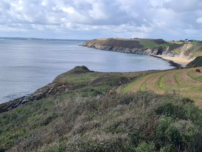 St Anthony Head Porthbeor Beach Loop From Bohortha Hike Komoot