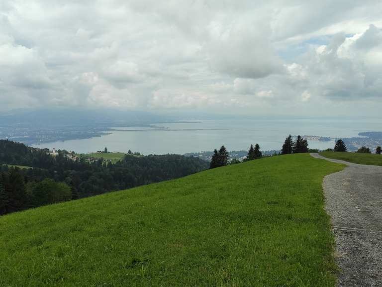 Super Aussicht auf Bodensee / Lindau / Gebirge Wanderungen und