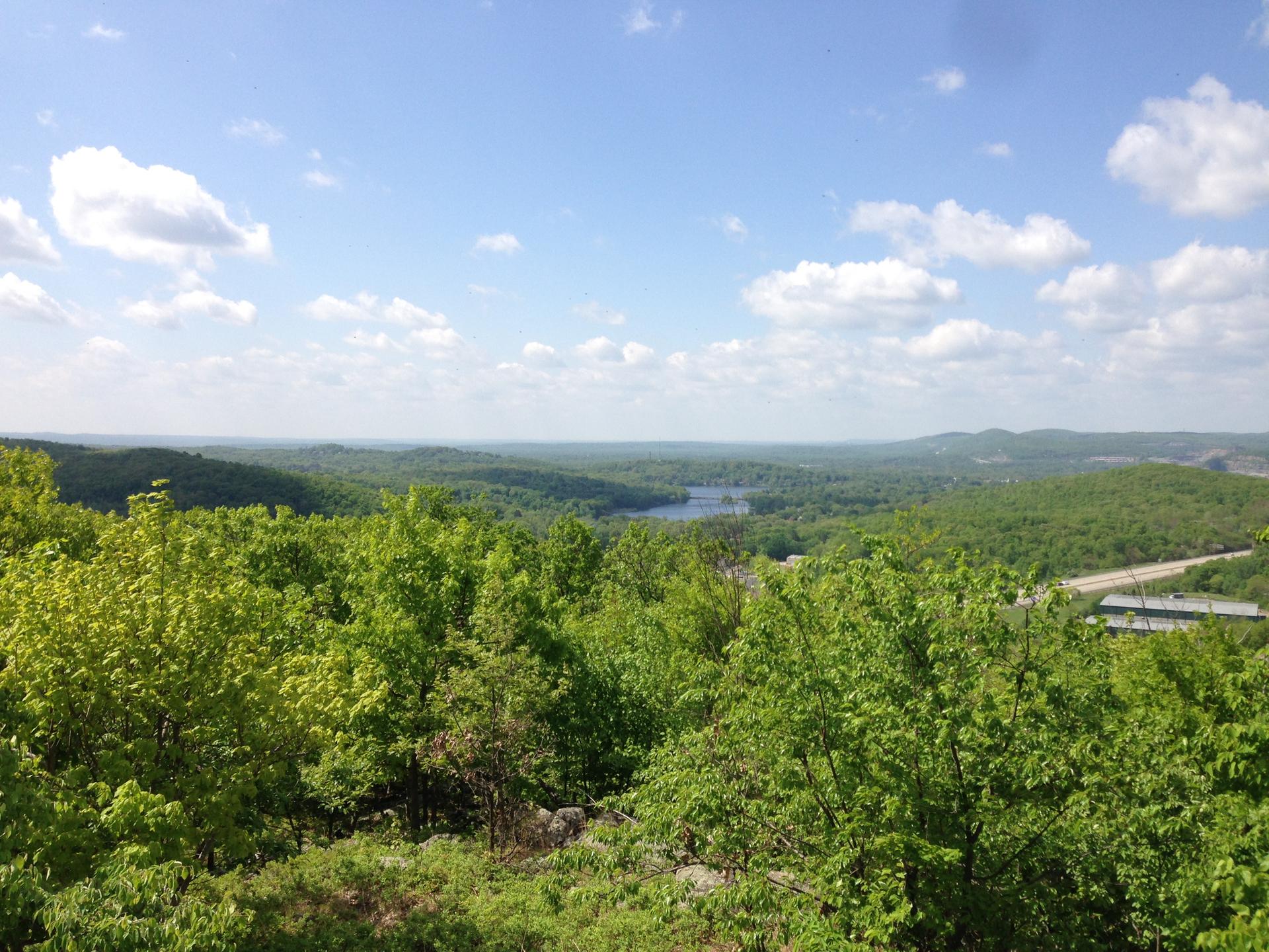 Sunny panoramic view of green forested hills, distant lake, and blue sky.