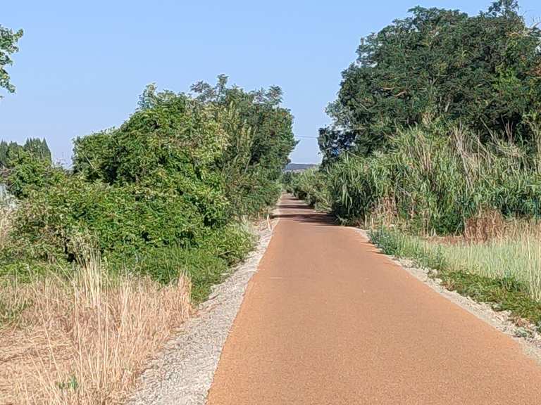 C21 um Avignon | road ride | Komoot