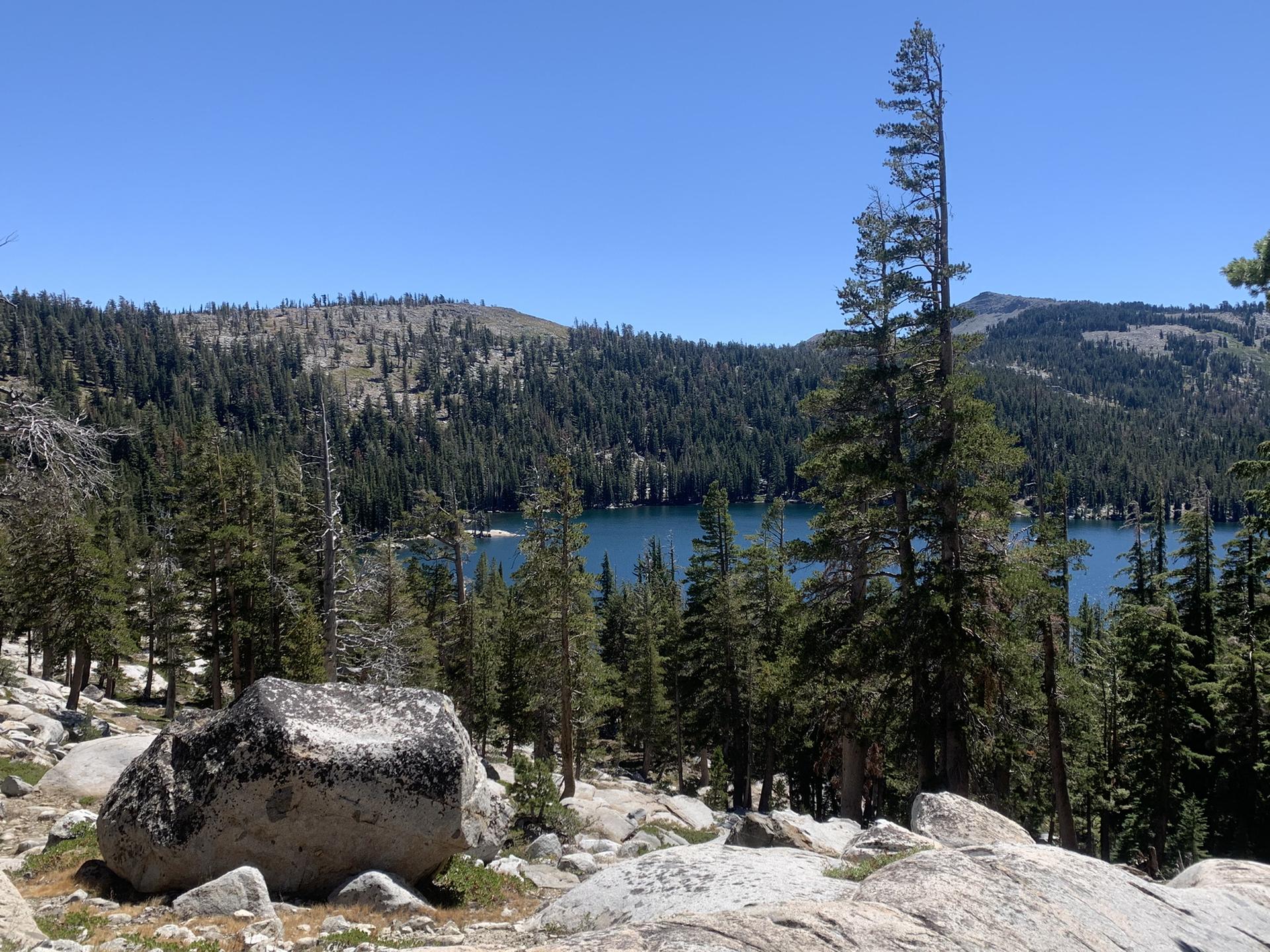 Bright view of a lake through a dense pine forest with a large foreground rock.