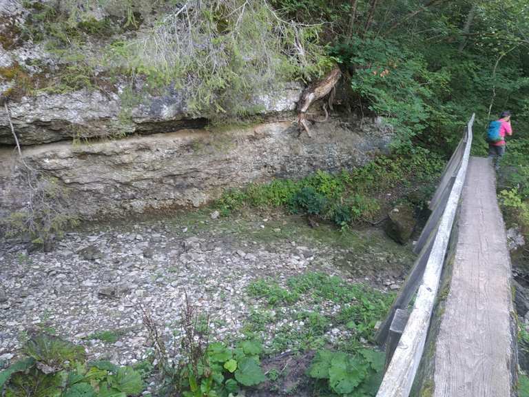 Eingang zur GauchachSchlucht Wanderungen und Rundwege komoot