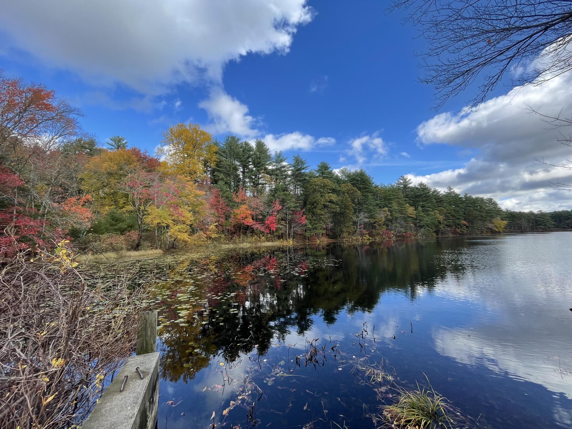 Vibrant autumn trees reflect on a calm lake under a bright, partly cloudy sky.