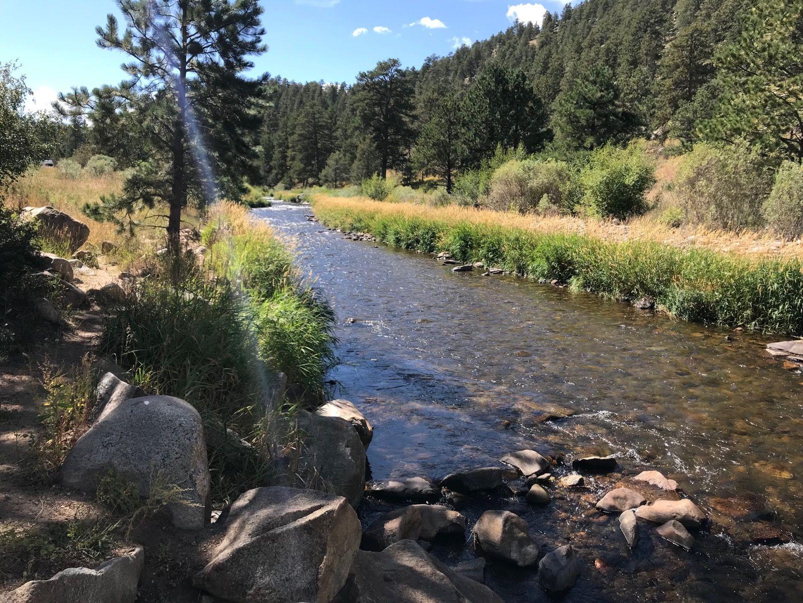 Clear river flowing through a rocky, forested landscape on a sunny day.
