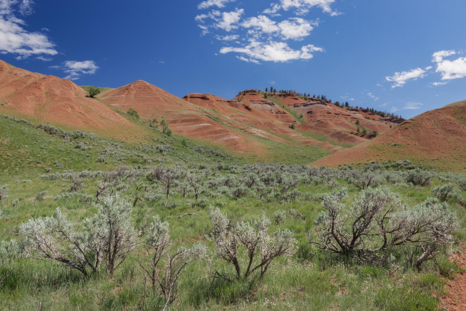 Rolling red hills and green brush under a bright blue sky with white clouds.