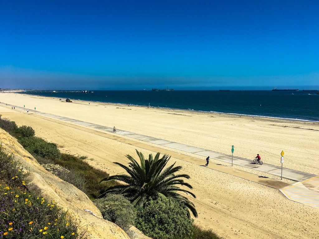 Wide sunny beach with ocean, palm tree, and people cycling on path. - Los Angeles and San Gabriel Rivers Trail Loop