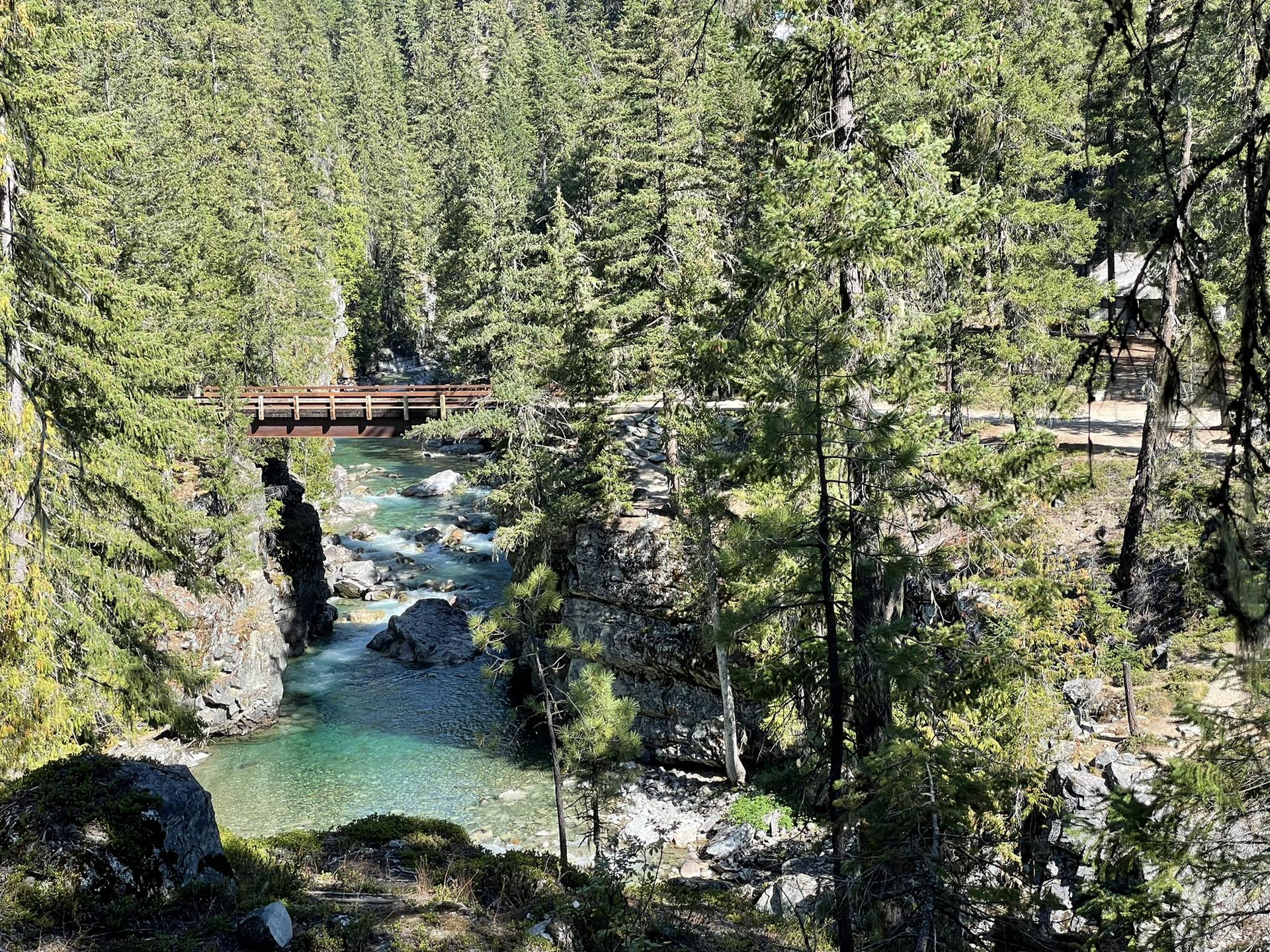 A wooden bridge spans a turquoise river winding through a dense forest.