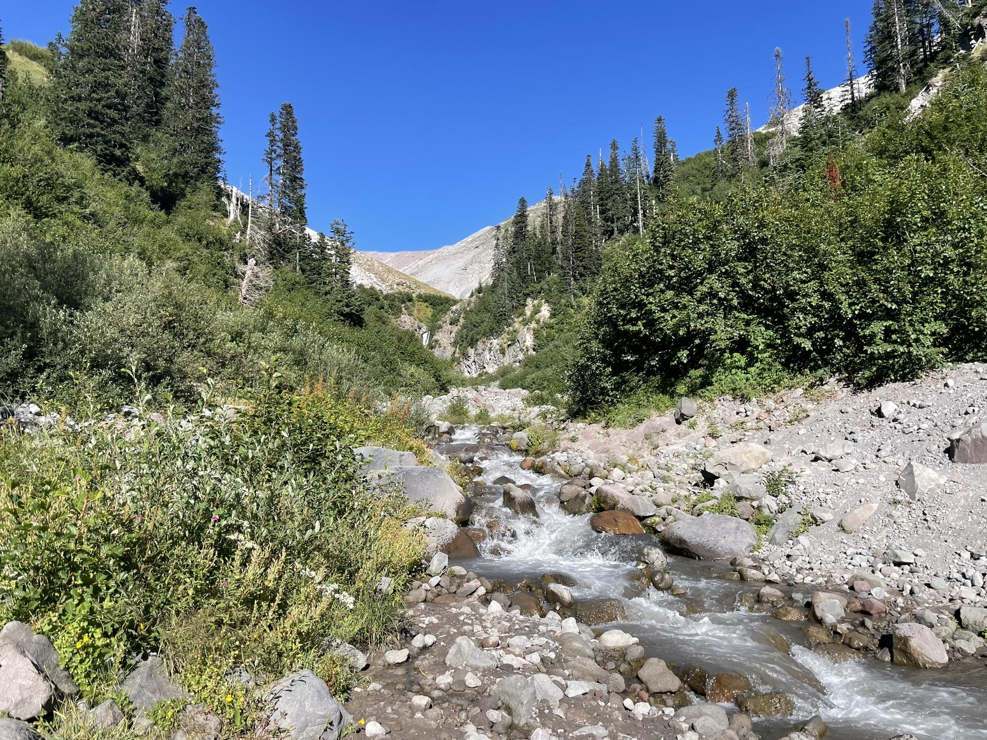 A rocky stream flows through a green valley under a clear blue sky.