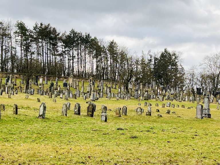 Judenfriedhof: Wanderungen und Rundwege | komoot