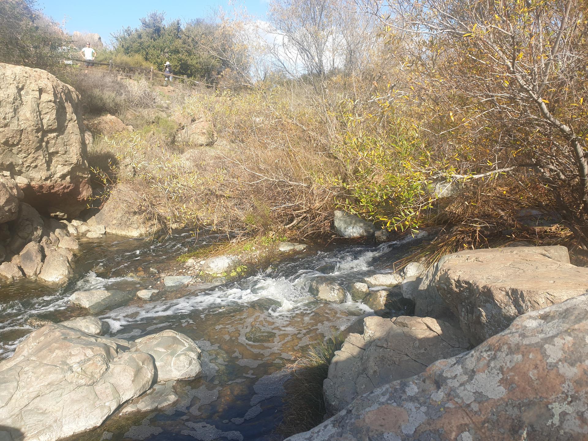 A rocky stream flows through dry brush under bright sunlight.