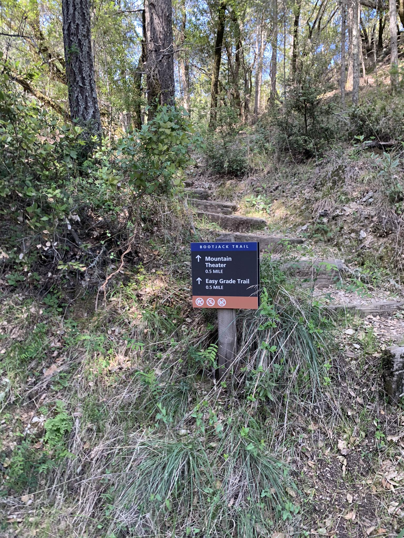 A trail signpost stands beside a wooded path with steps leading uphill.