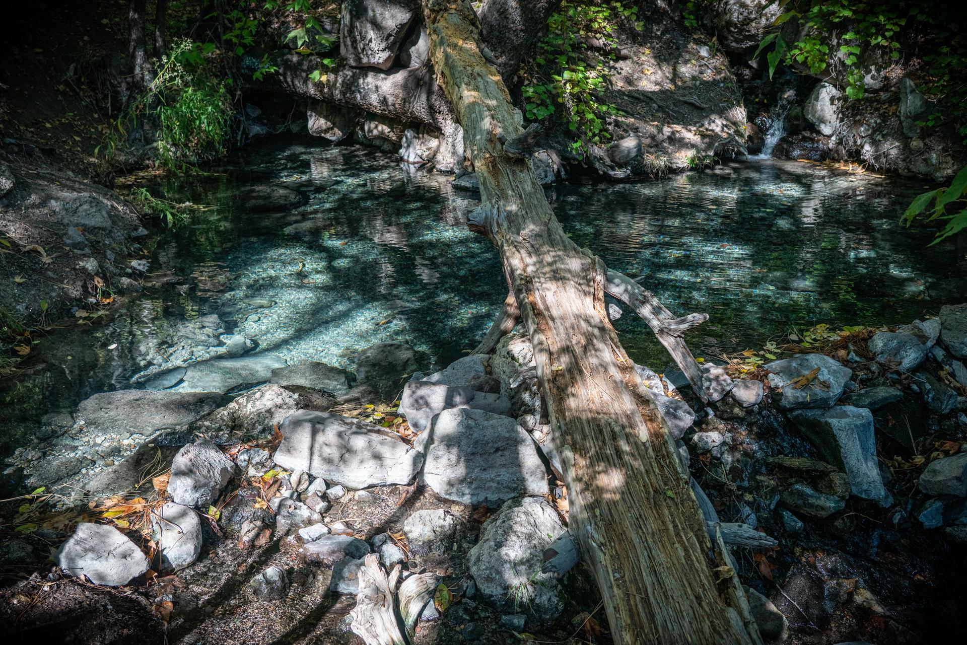 A large fallen log spans clear, shallow water in a shaded, rocky stream.