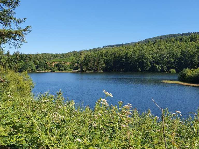 Trentabank Reservoir Wanderungen und Rundwege komoot
