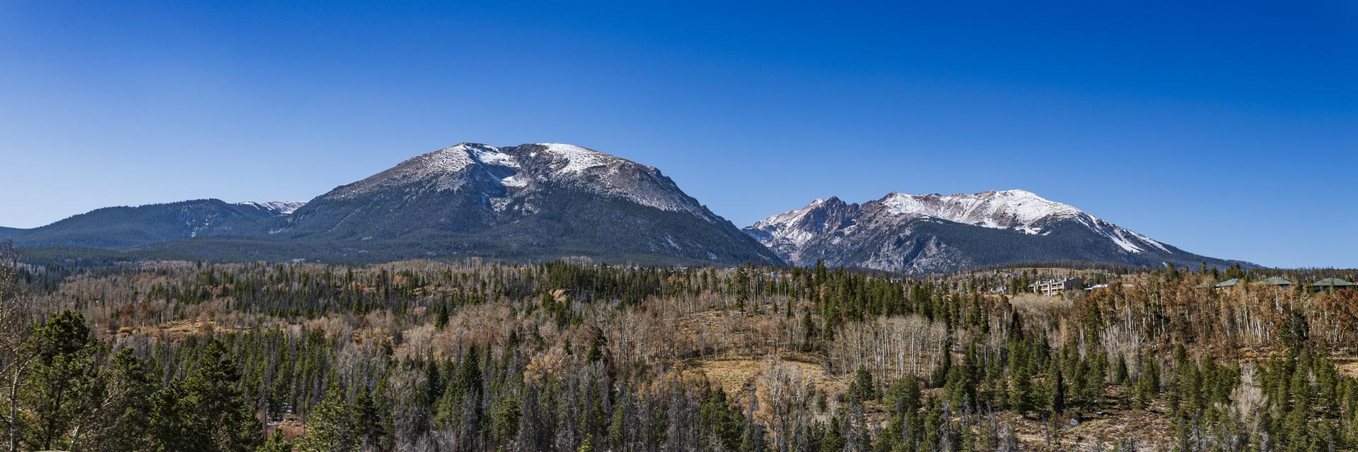 Panoramic view of snow-capped mountains above a mixed forest under a clear blue sky.