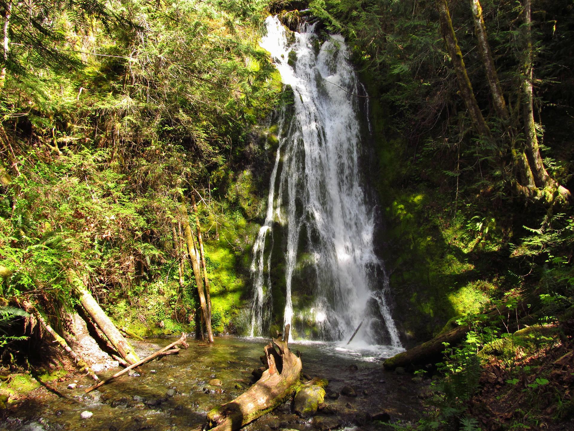 Tall waterfall cascades into a pool in a lush, sun-dappled forest.