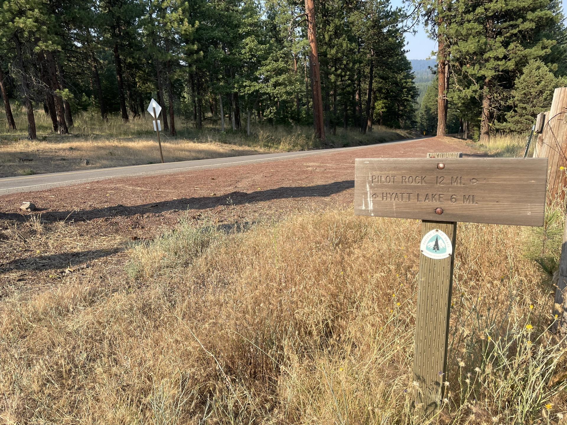 A wooden trail sign stands beside a dirt road in a sunny, dry forest.