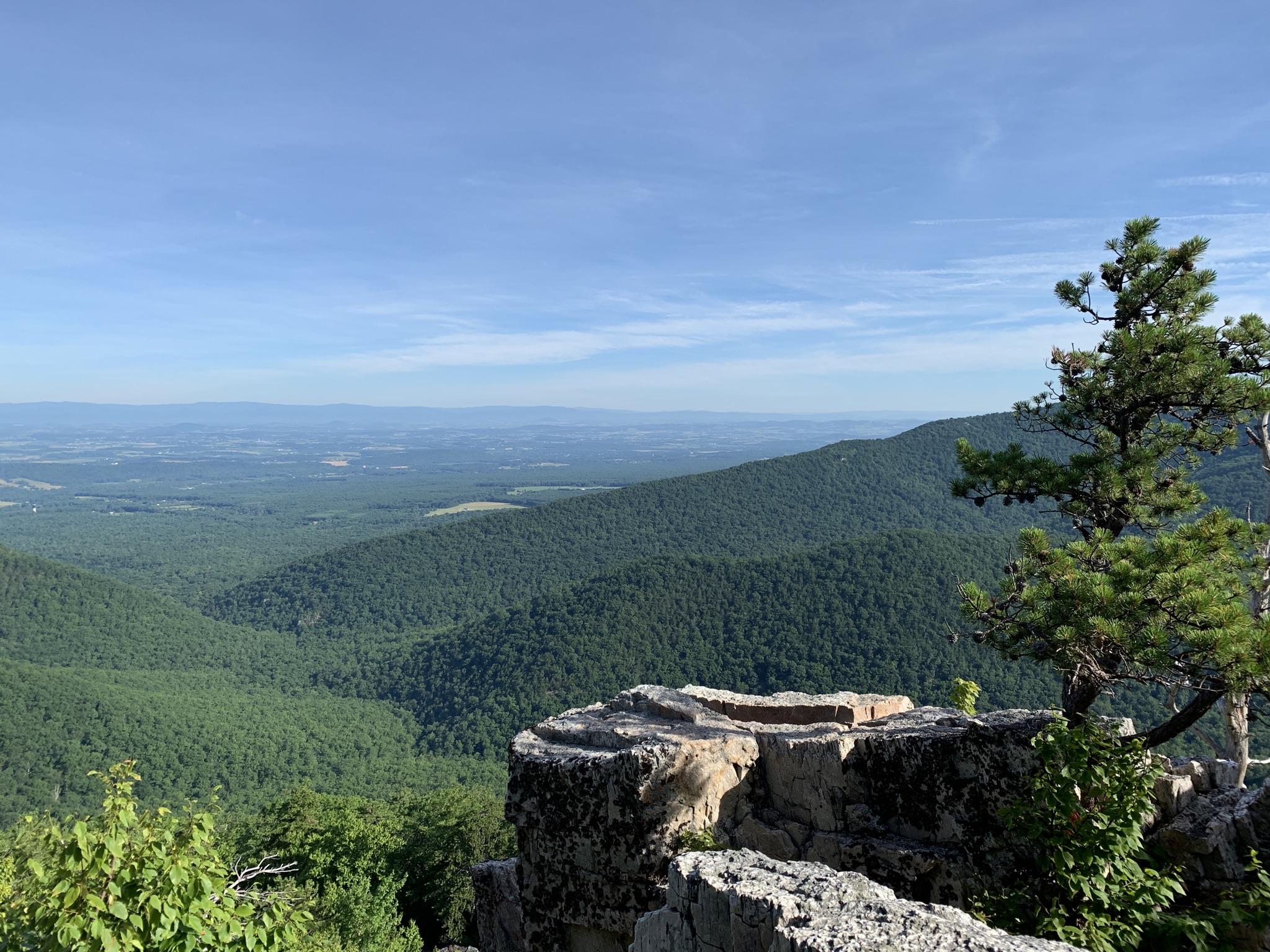 Rocky mountain overlook with vast forested valleys under a bright blue sky.