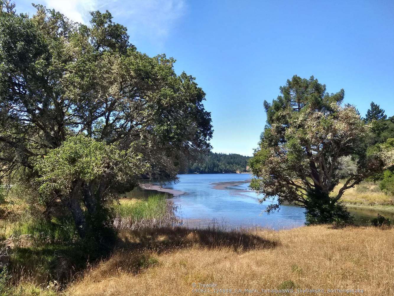 Sunny view of a calm water body framed by large trees and dry grass.