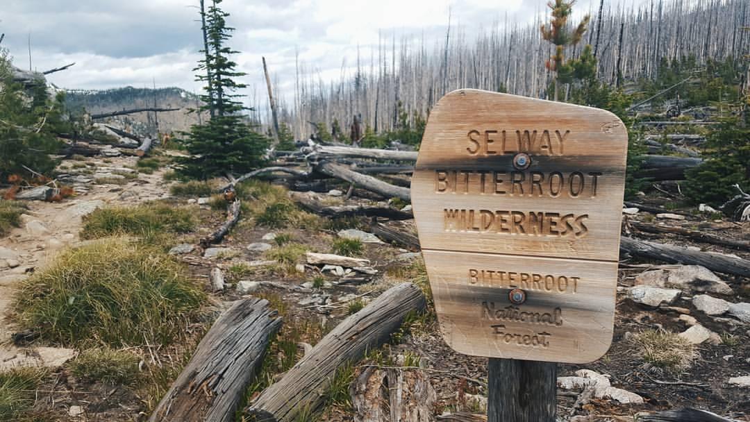A wooden sign on a dirt path through a forest of dead and green trees.