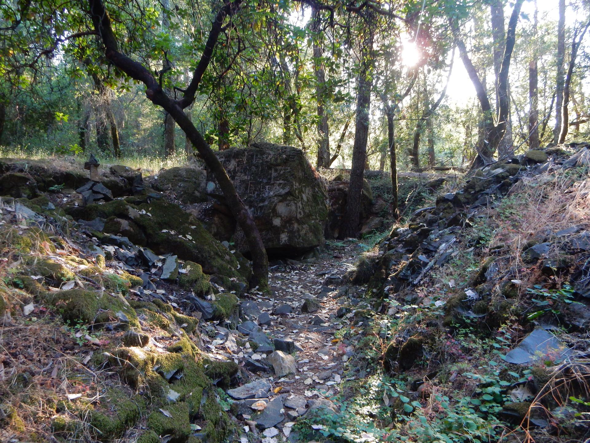 Rocky path through a sun-dappled forest with mossy rocks and dense trees.