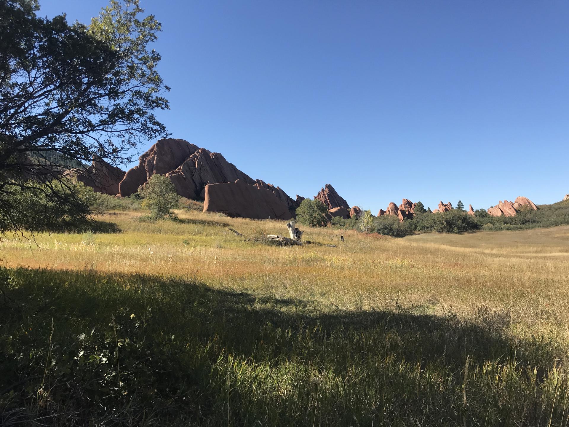 Sunny meadow with green and golden grass and distant red rock formations.