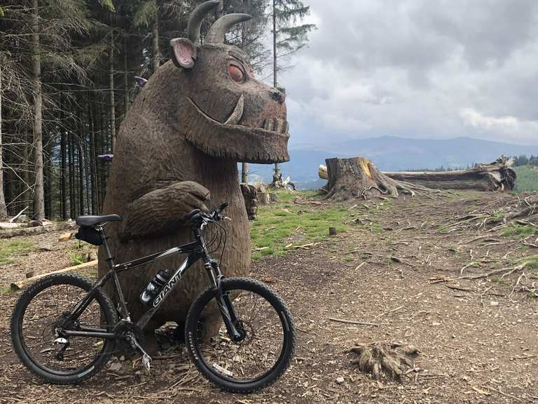 whinlatter mountain bike trails