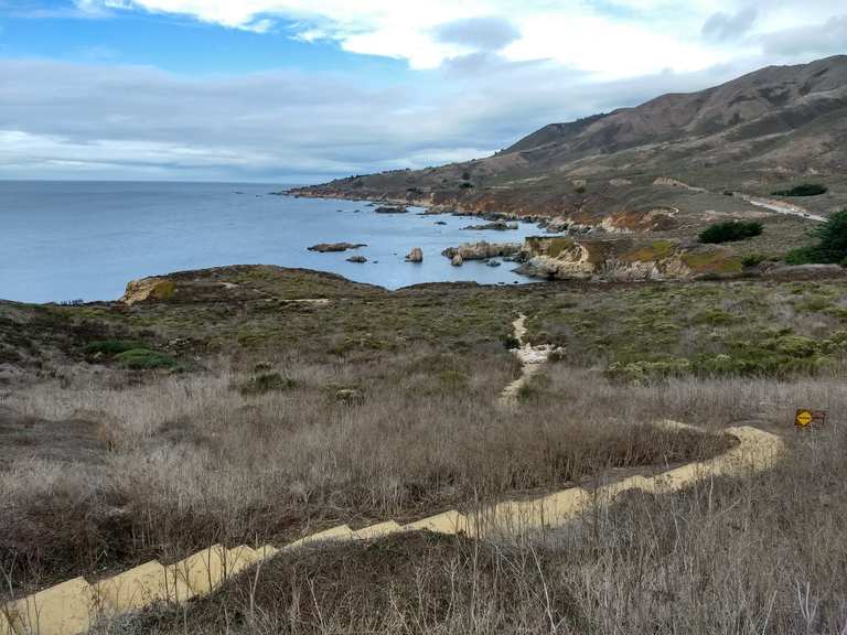 Rocky Ridge Trail & Whale Peak Trail loop — Garrapata State Park ...