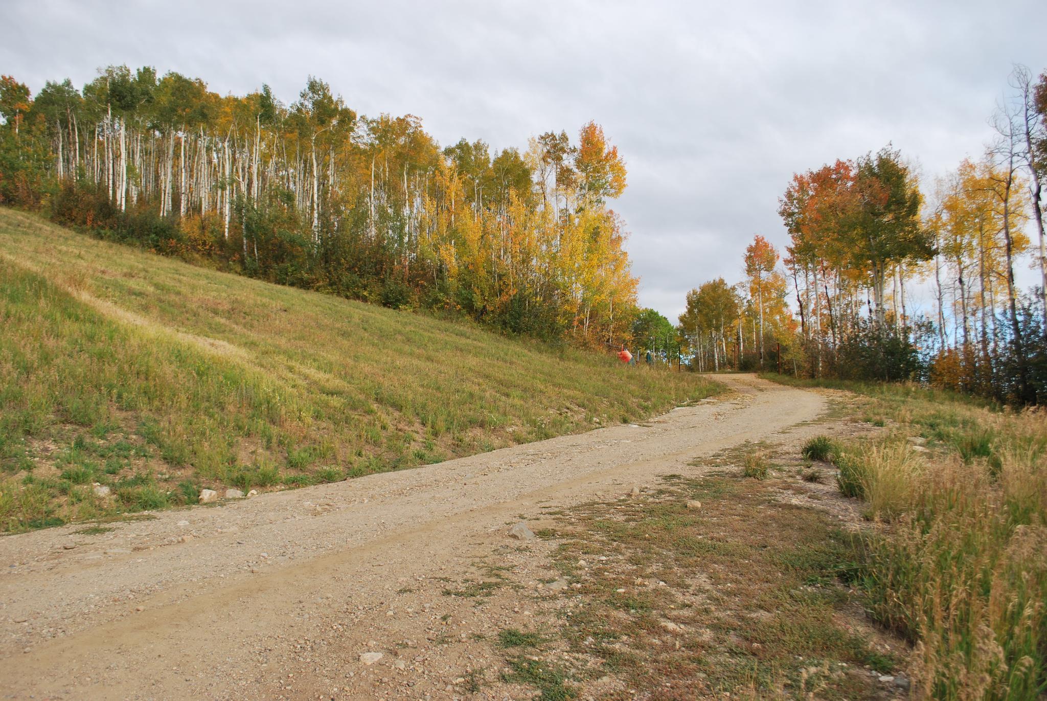 A dirt road winds past a grassy hill and vibrant fall trees.