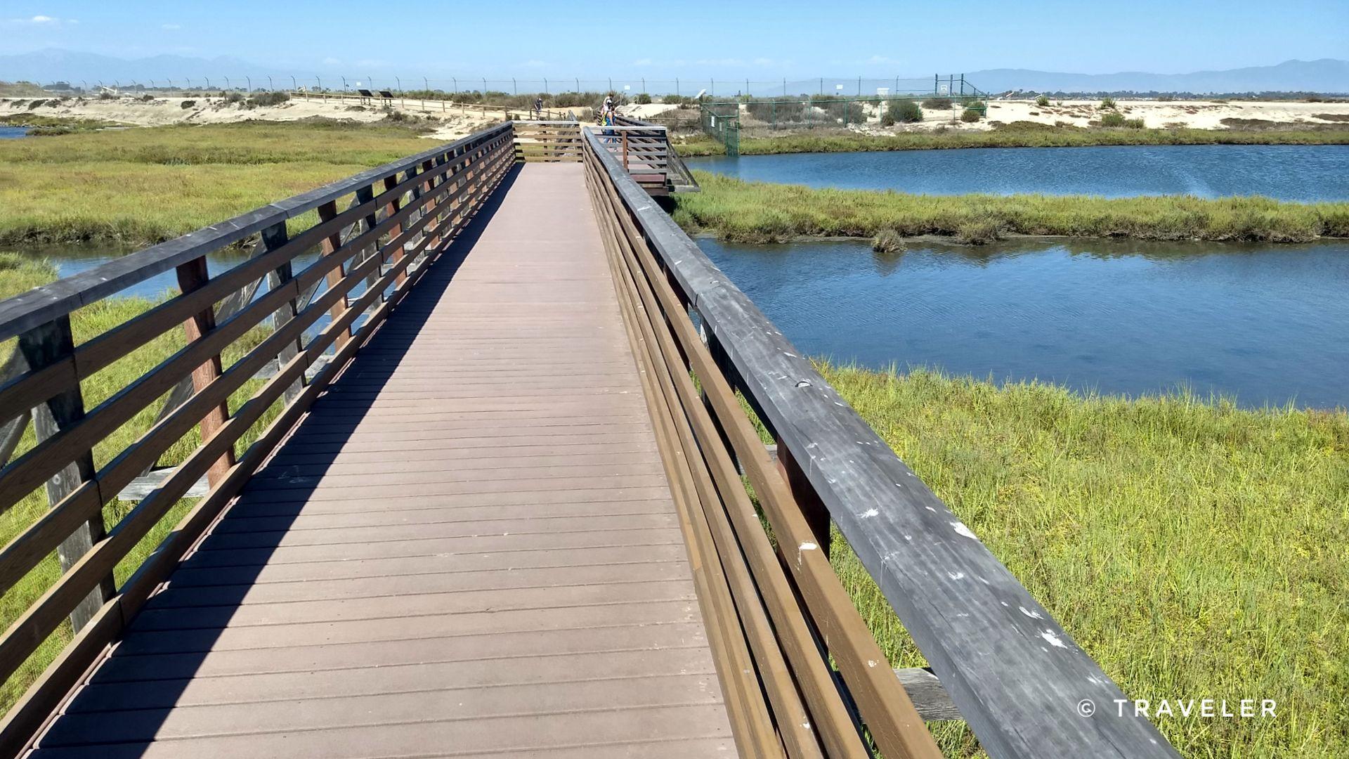 Wooden boardwalk over green marsh and blue water under a bright sky.
