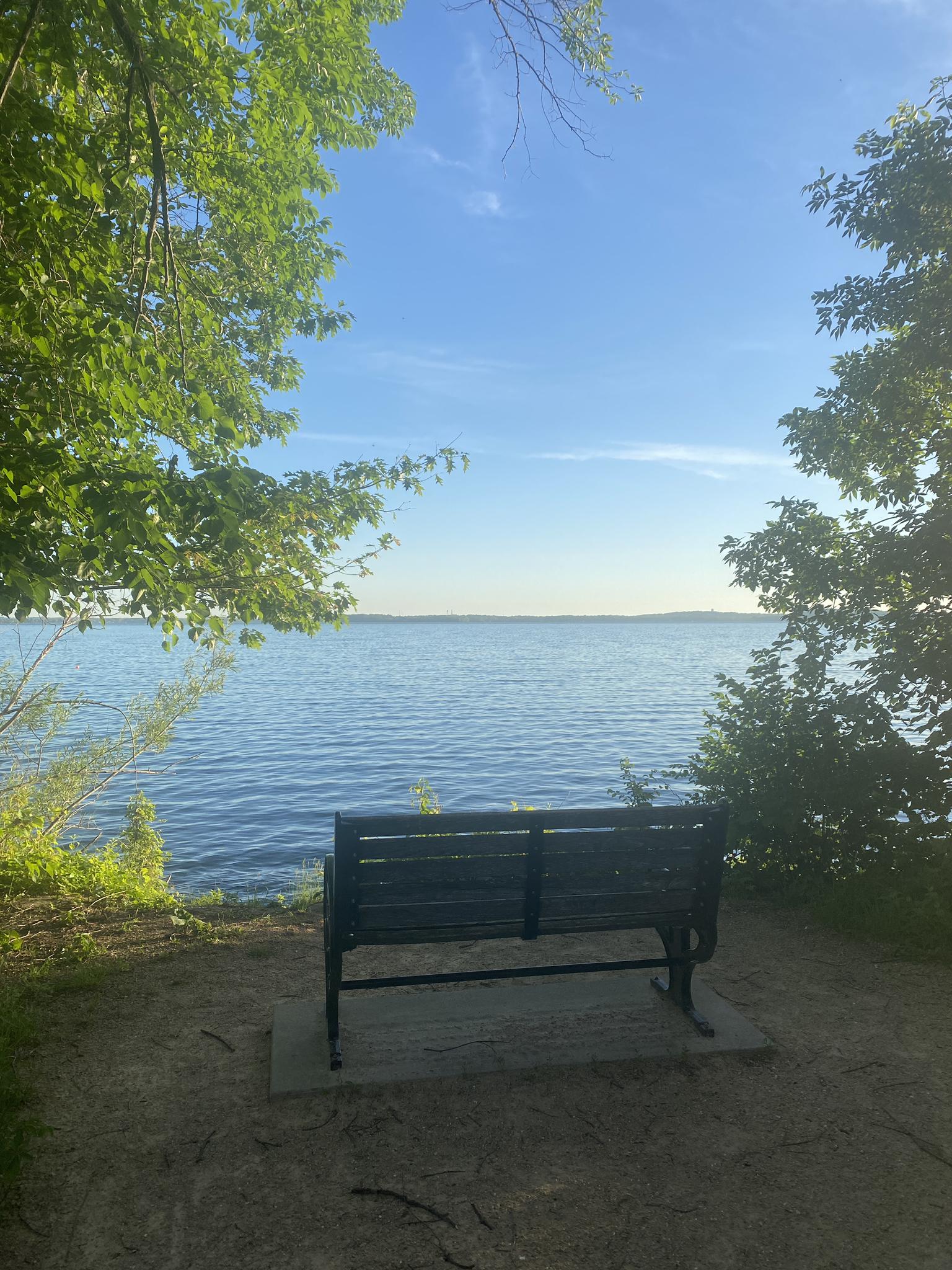 An empty park bench overlooks a calm lake under a bright blue sky.