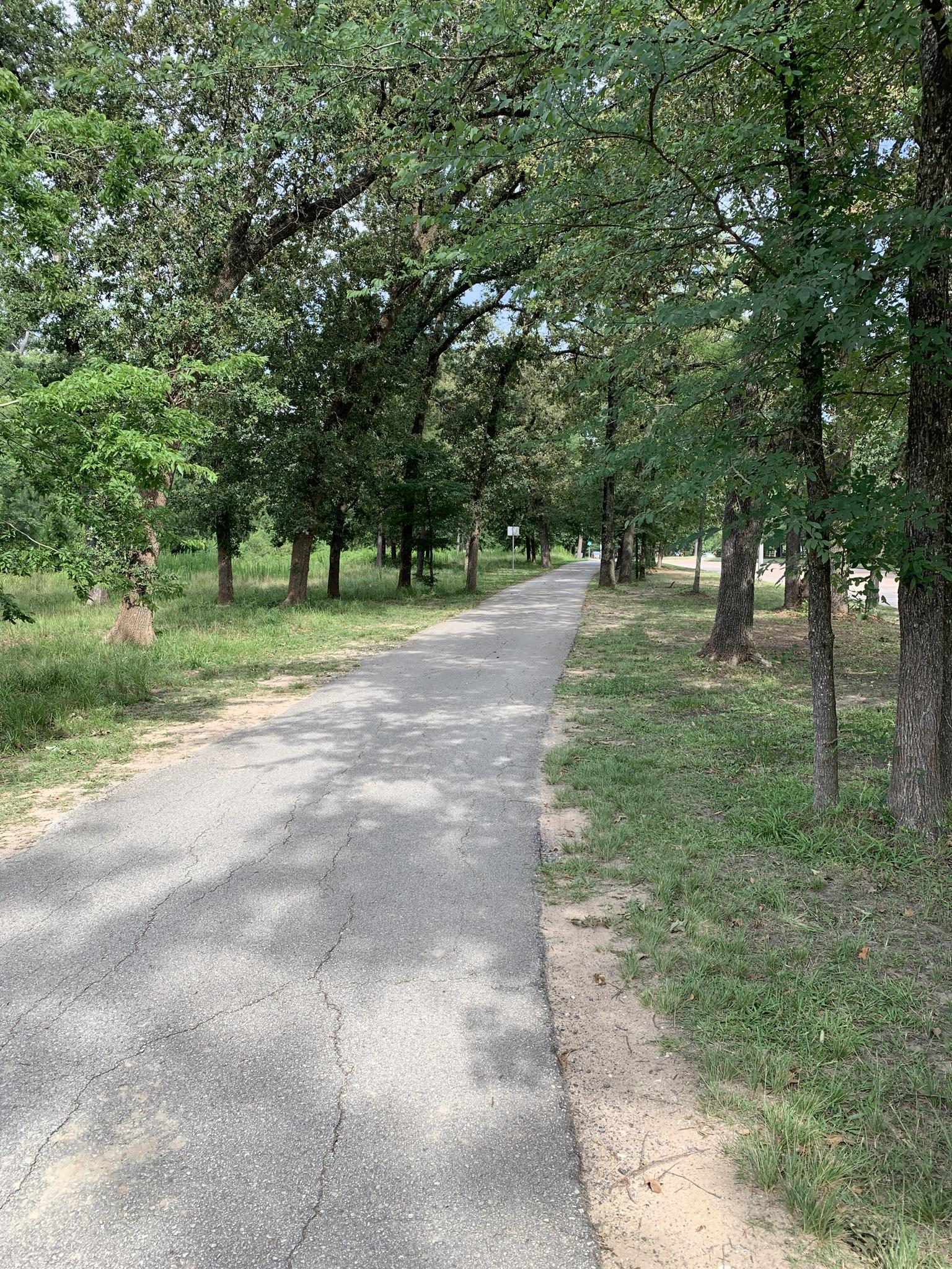 Paved path winding through a tree-lined landscape on a bright, sunny day.