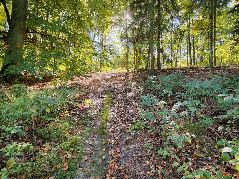 Zielonym przez Czajczą MountainbikeTouren komoot