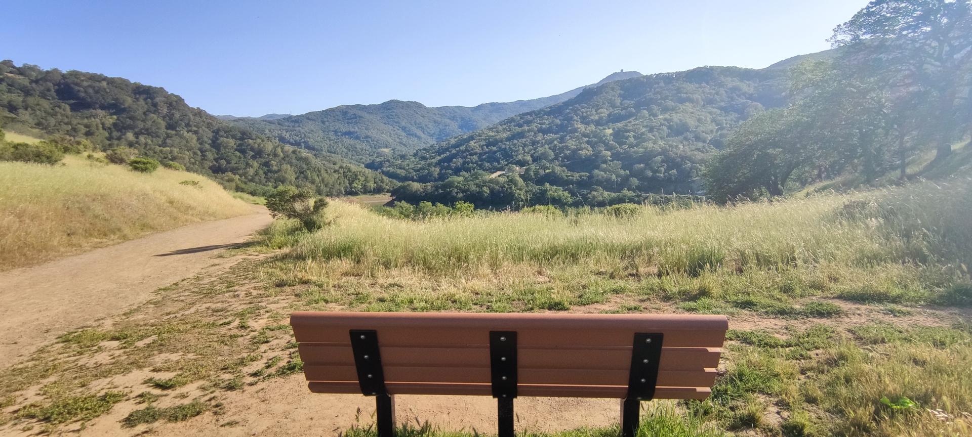 Empty wooden bench on a dirt path overlooking a green valley.