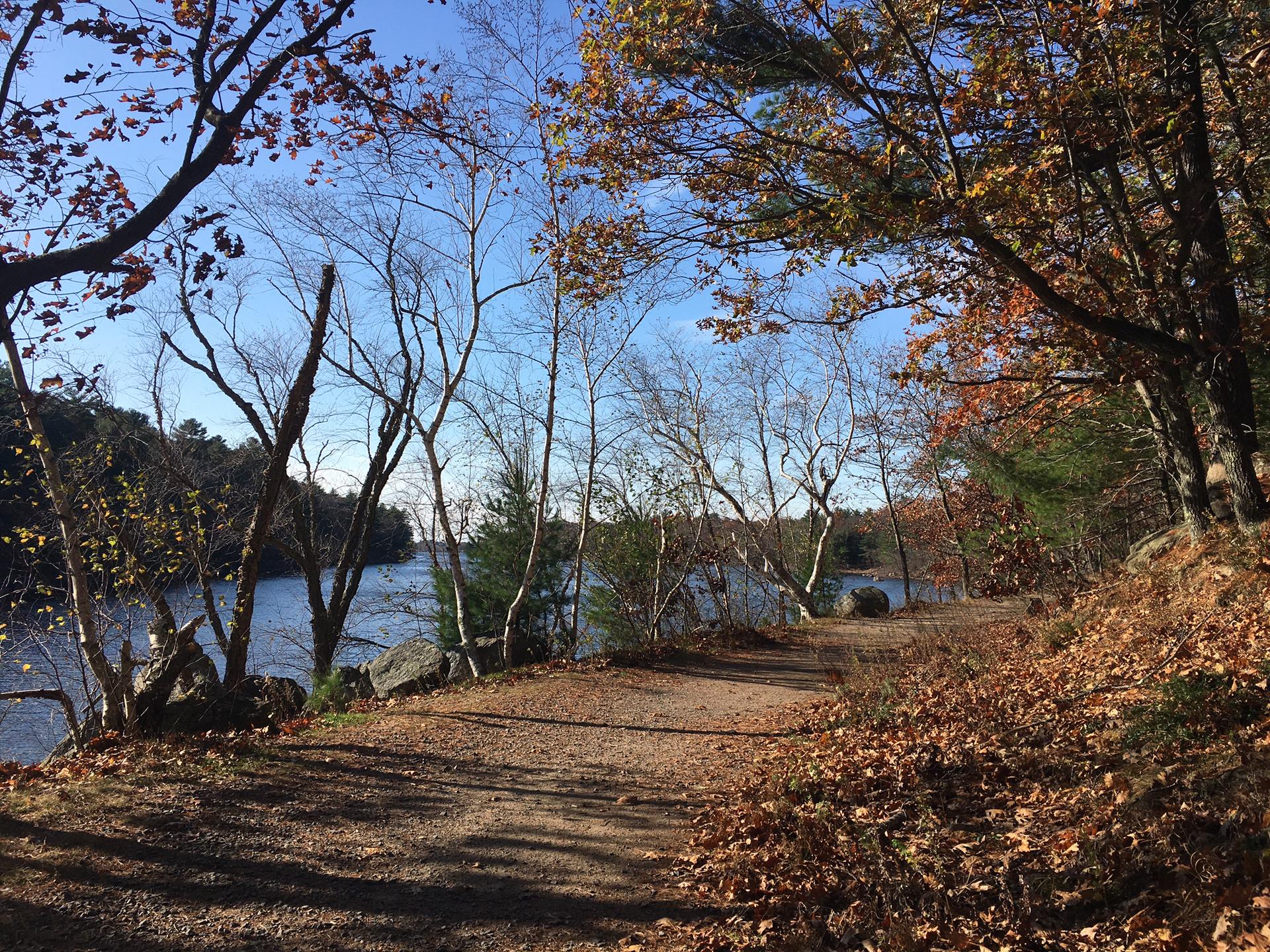Dirt path with autumn leaves beside a calm lake, framed by trees.