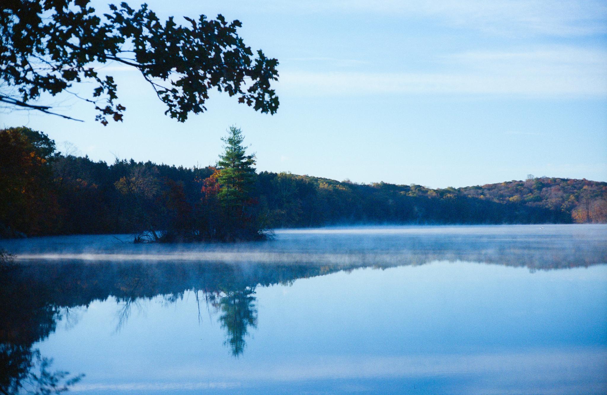 Misty lake reflecting a clear sky, surrounded by autumn trees.