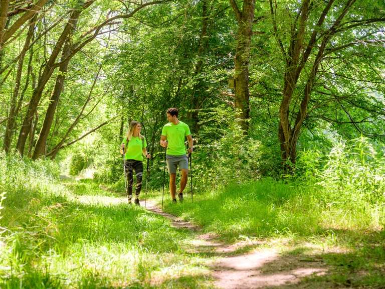 Parktherme Bad Radkersburg Wandern in den Murauen Runde von Bad Radkersburg Wanderung Komoot